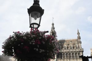 GrandPlace-tir-2025-7177