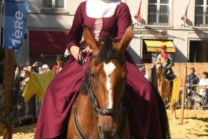 Ommegang-2026-Equestres-6357