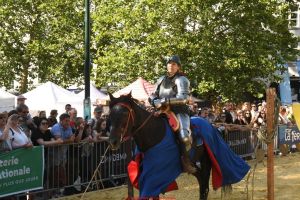 Ommegang-2026-Equestres-6385