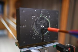 Roy-Federal-2026-0893